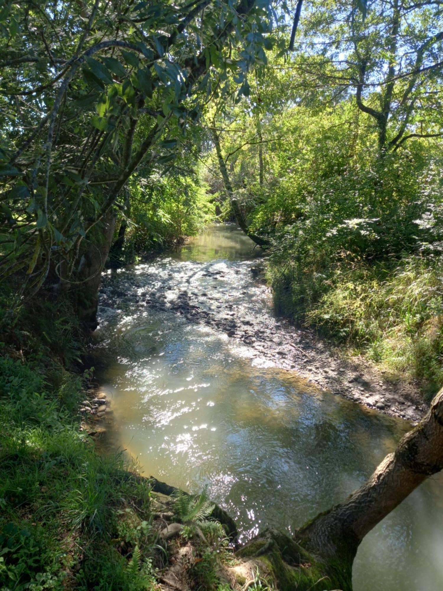 Campuzan L'Oasis Des Pyrenees 빌라 외부 사진